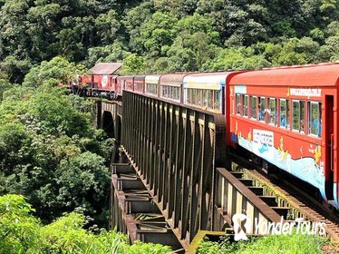 Serra Verde Express: Rail Tour to Morretes and Antoninna from Curitiba