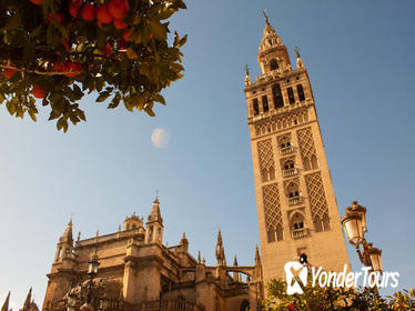 Seville in a Day: Private Tour