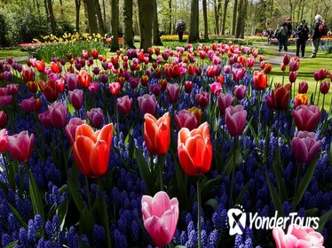 Skip-the-line Keukenhof Gardens including Transportation from Amsterdam and Fast-Track Entrance to the Rijksmuseum