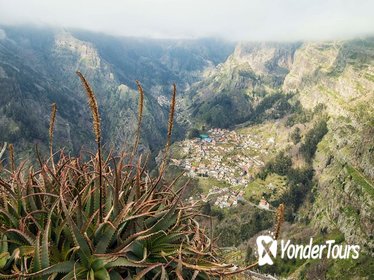 Small Group Madeira Half Day Tour from Funchal