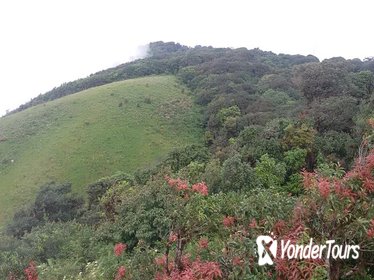 Small-Group Doi Inthanon National Park and Kiew Mae Pan Trail from Chiang Mai