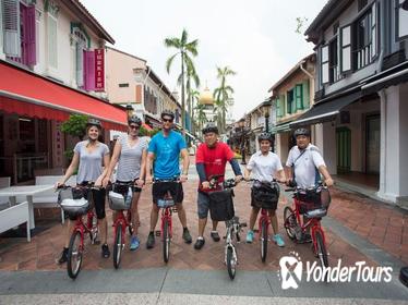 Small-Group Singapore Highlights Bike Tour
