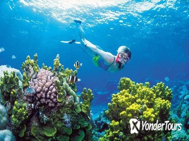 Snorkel, ATV, Zipline and Cenote Adventure from Cancun