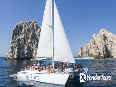 Snorkeling Cruise in Los Cabos aboard the Pez Gato