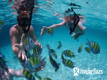 Snorkeling Tour at Land's End in Cabo San Lucas