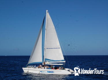 Soufriere Full-Day Land and Sea Combo Tour