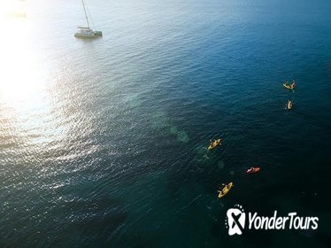 Split Sea Kayaking 3-Hour Tour