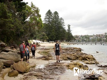 Sydney Harbour Sunset Hike to Manly