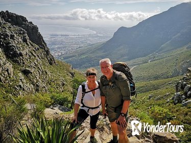 Table Mountain Half Day Hike: Platteklip Gorge