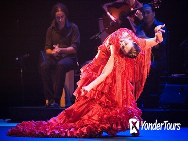 Tapas and Wine Walking Tour with Flamenco Experience