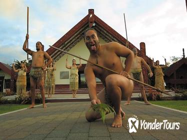 Tauranga Shore Excursion: Te Puia Maori Cultural Centre and Rotorua City Sightseeing