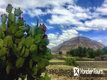 Teotihuacan and Tula Private Archeology Tour from Mexico City