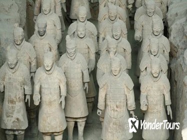 Terracotta Warriors Express Day Tour Including Lunch