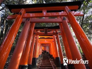 The Alternative Fushimi Inari Walking Tour