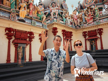 The Best of Singapore in a Day Private Tour