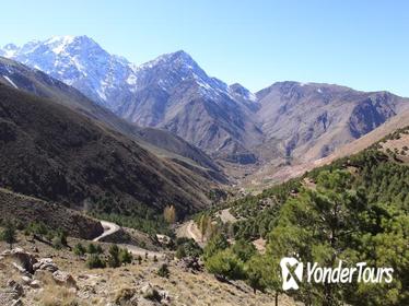 Three Valleys Day Trip from Marrakech with Lunch