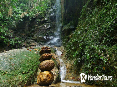 Tijuca Forest Hiking Tour Including Waterfalls