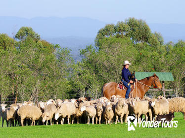 Tobruk Sheep Station: Farm and Australian Outback Experience