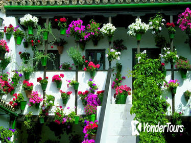 Tour and tickets: Authentic Patios of Cordoba