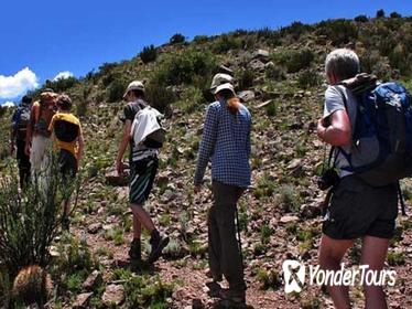 Trekking and Rappel to Quebrada del Salto Fall, from Mendoza
