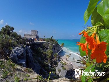 Tulum and Cenote Day Trip from Playa del Carmen
