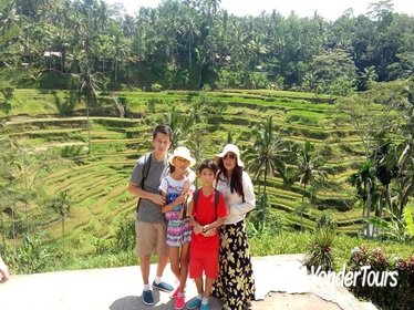 Ubud tour with private car and tour driver