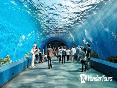Underwater World Pattaya General Admission with Hotel Transfers
