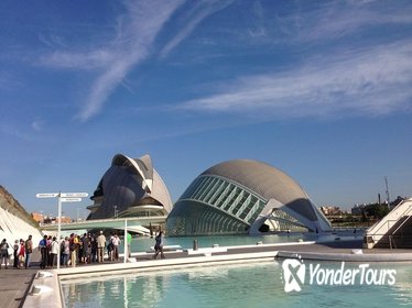 Valencia's City of Arts and Sciences Tour