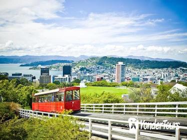 Wellington City Sights and Coast Tour