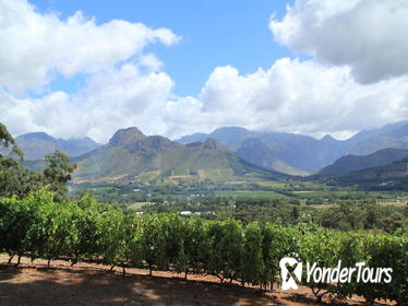 West Coast and Winelands 5-Day Tour from Cape Town