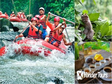 White Water Rafting with Ubud Monkey Forest Tour