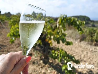 Wine and Cava Tour from Barcelona with Tastings and Brunch