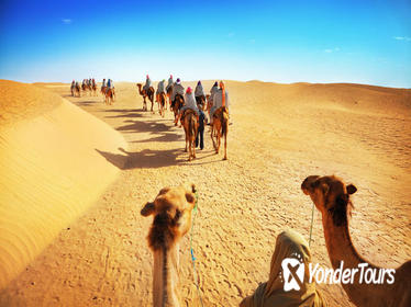 Desert Experience: Camel Safari with Dinner and Emirati Activities from Dubai