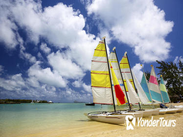 Full-Day Benitiers Island and Dolphin Watching Cruise with Lunch