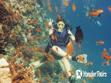 Dive Trip in Hurghada with 2 Dive Sites