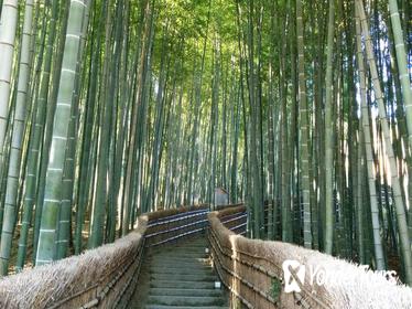 Private Highlights of Kyoto Tour