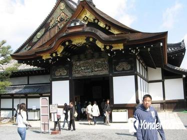 Nara Afternoon Tour of Todaiji Temple, Deer Park and Kasuga Shrine from Kyoto