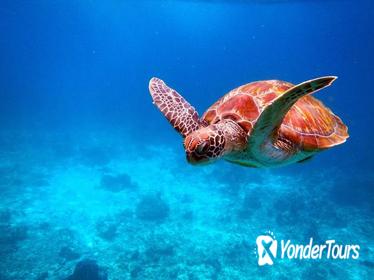 Early Bird Similan Islands Snorkel Tour by Siam Adventure World from Phuket