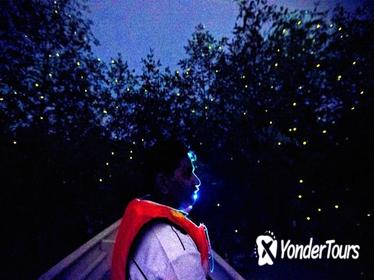 Kuala Selangor Firefly Boat Tour Including Dinner and Hotel Transfer from Kuala Lumpur