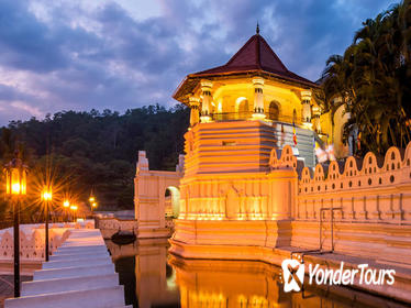Private Kandy City Tour Including Peradeniya Royal Botanical Gardens