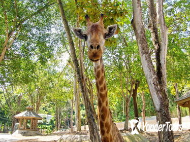 Chiang Mai Zoo Admission with Roundtrip Transfer