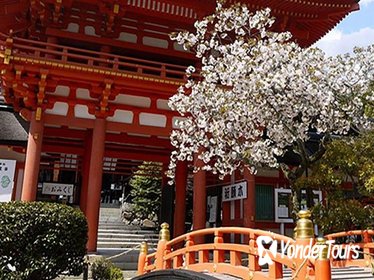 Seasonal Tour: Kyoto Cherry Blossom Viewing Tour by Bus