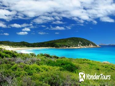 Melbourne Super Saver: Great Ocean Road plus Wilsons Promontory and Melbourne Attraction Pass