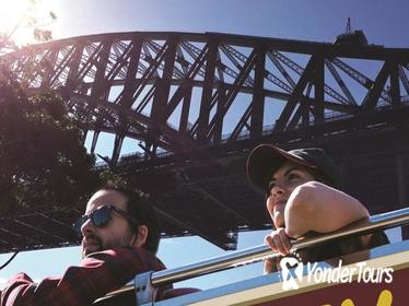 Sydney Shore Excursion: Big Bus Sydney and Bondi Hop-On Hop-Off Tour