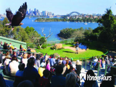 Sydney Taronga Zoo General Entry Ticket