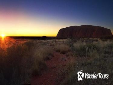 Uluru Field of Light Sunrise Tour