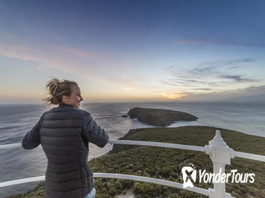 Bruny Island Sightseeing and Gourmet Tour from Hobart Including Guided Lighthouse Tour