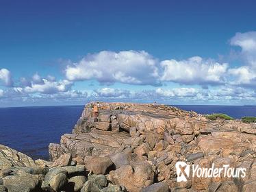 4-Day Tour from Perth Including Margaret River, Valley of the Giants Tree Top Walk and Albany