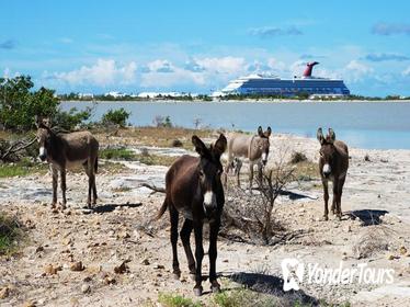 Grand Turk Historical Sightseeing Tour by Tram