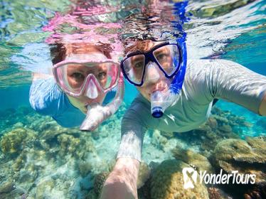 Curacao Shore Excursion: Snorkel Adventure